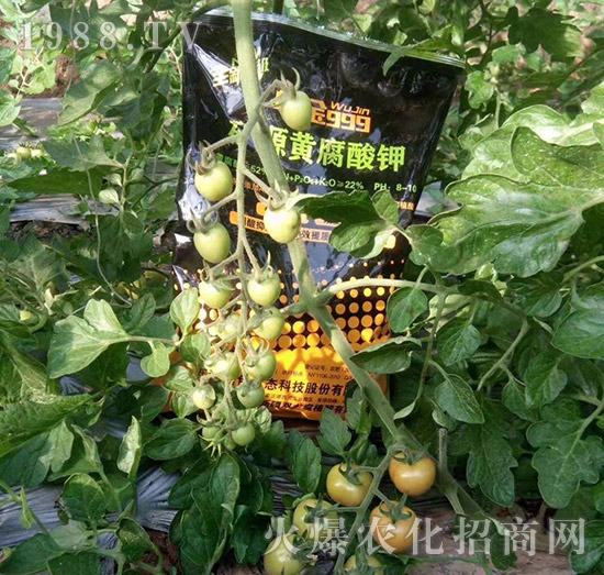 ���½���ɫ���B(t��i)��ȫ�w�T����ף�������ѣ�����옷���f��������ҹҹ�����X��