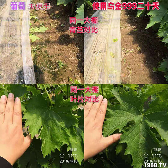 ���½���ɫ���B(t��i)��ȫ�w�T����ף�������ѣ�����옷���f��������ҹҹ�����X��