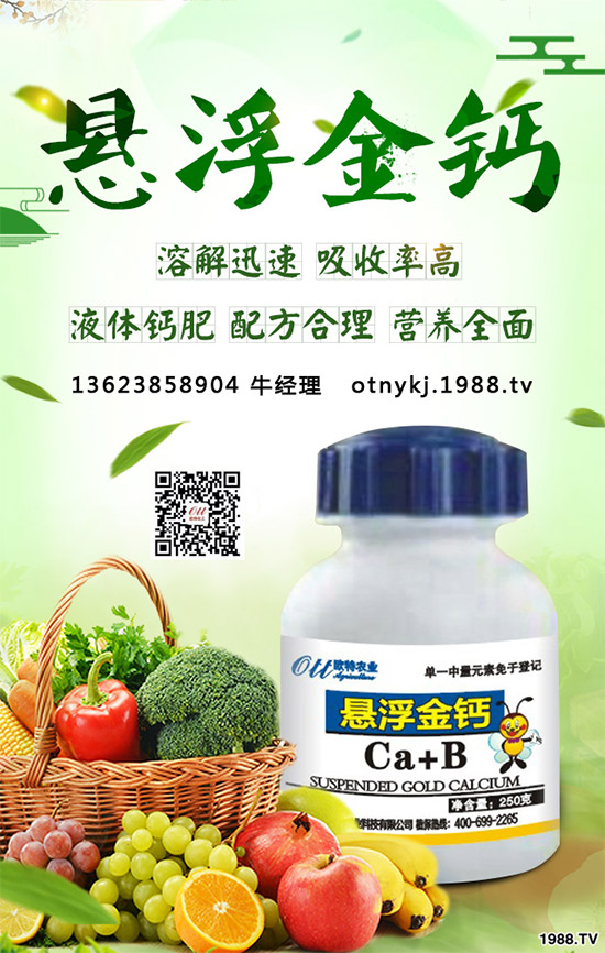 紅藤有哪些神奇功效？紅藤的功效作用及禁忌人群