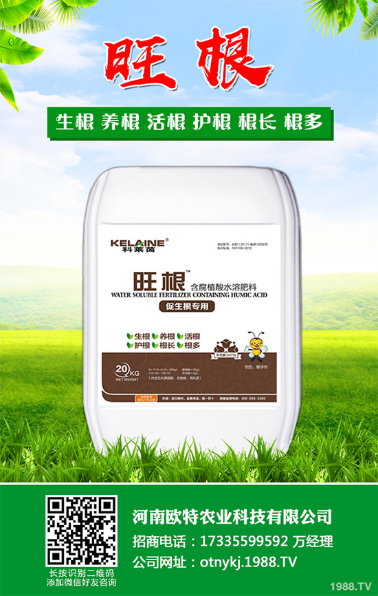 紅藤有哪些神奇功效？紅藤的功效作用及禁忌人群