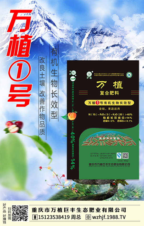     臨近年末，二銨市場行情依舊低落！2020-1-4今日最新二銨價格早報！