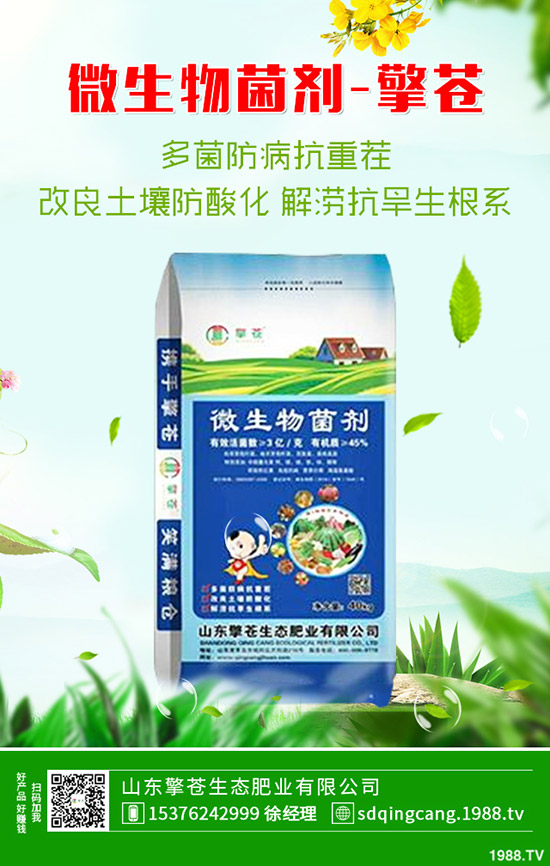     2020年1月4日春節(jié)前磷銨價格上??！最新磷酸一銨價格早報！