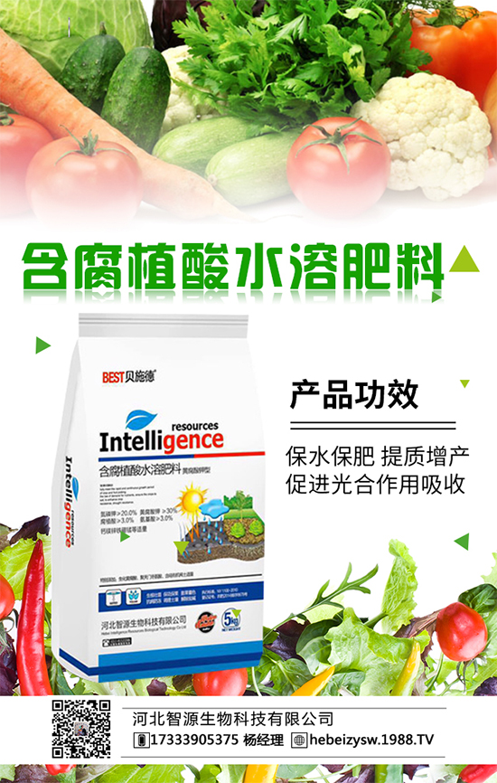 冬瓜要想吃不完,要學(xué)會(huì)冬瓜的科學(xué)種植!