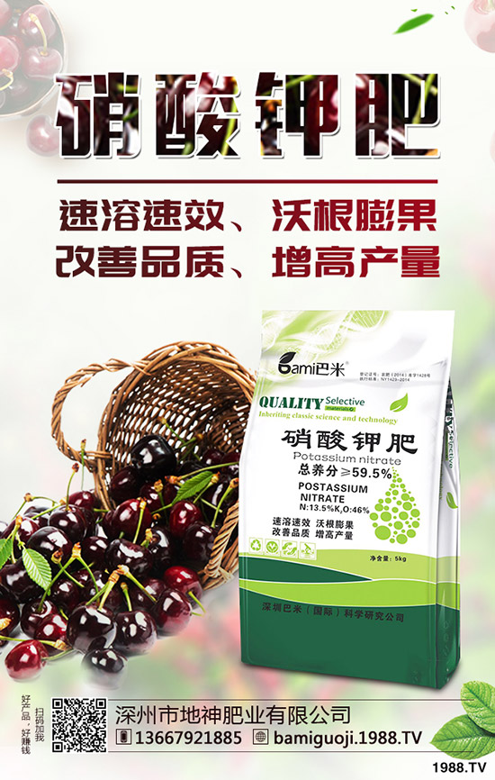 紅薯育苗時(shí)間是什么時(shí)候？紅薯育苗方法有哪些？