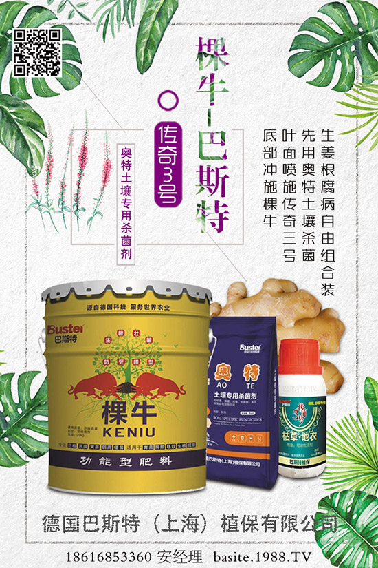 【德國巴斯特】祝愿您鼠年:朋友知心,愛人同心,永遠開心,事事稱心!