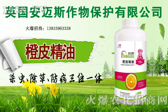 10�·Nֲ��Щ�߲˸����m�����g����Ҫ���cץ���Ď��c��