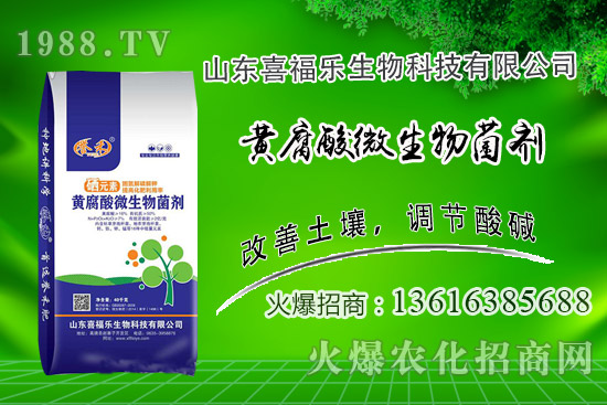 花生價(jià)格穩(wěn)中偏強(qiáng)！2020年10月14日花生價(jià)格行情分析