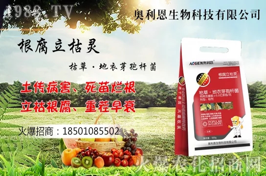 果樹栽培四大誤區(qū)有哪幾點？如何提高果樹栽植的成活率？