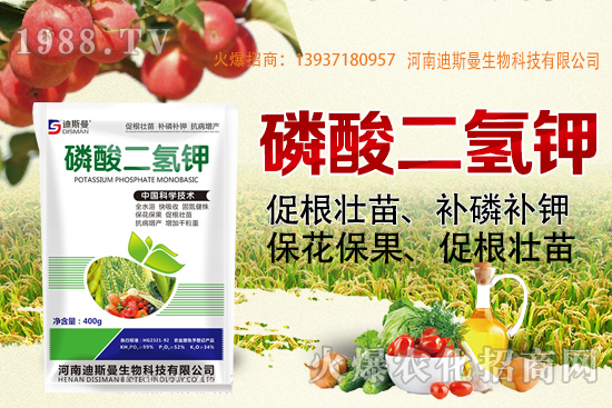 小麥報價！2020年10月7日小麥價格！