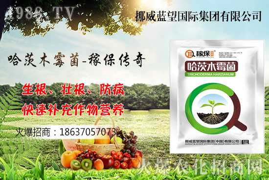 �ի@���С����΃�(ch��)������С����(ch��)���P(gu��n)�I�c(di��n)������