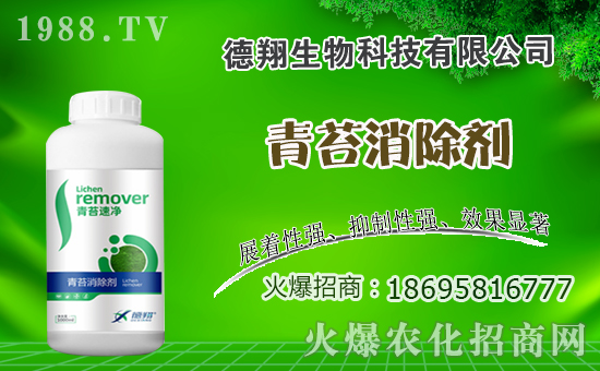�Ͳ�ʲô�r(sh��)�g�Nֲ���Ͳ˷Nֲ������ʲô������Щע�����(xi��ng)��
