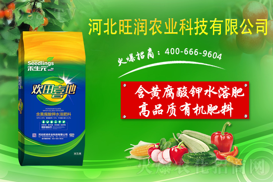 ���@����Ĥ��ô�Ч���������@䁷���Ĥ��Ҫ�c(di��n)��