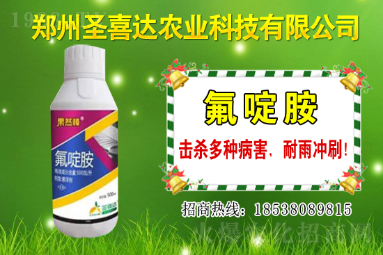 �������N��������Щ���������Ժ�ʲô�����׷N��