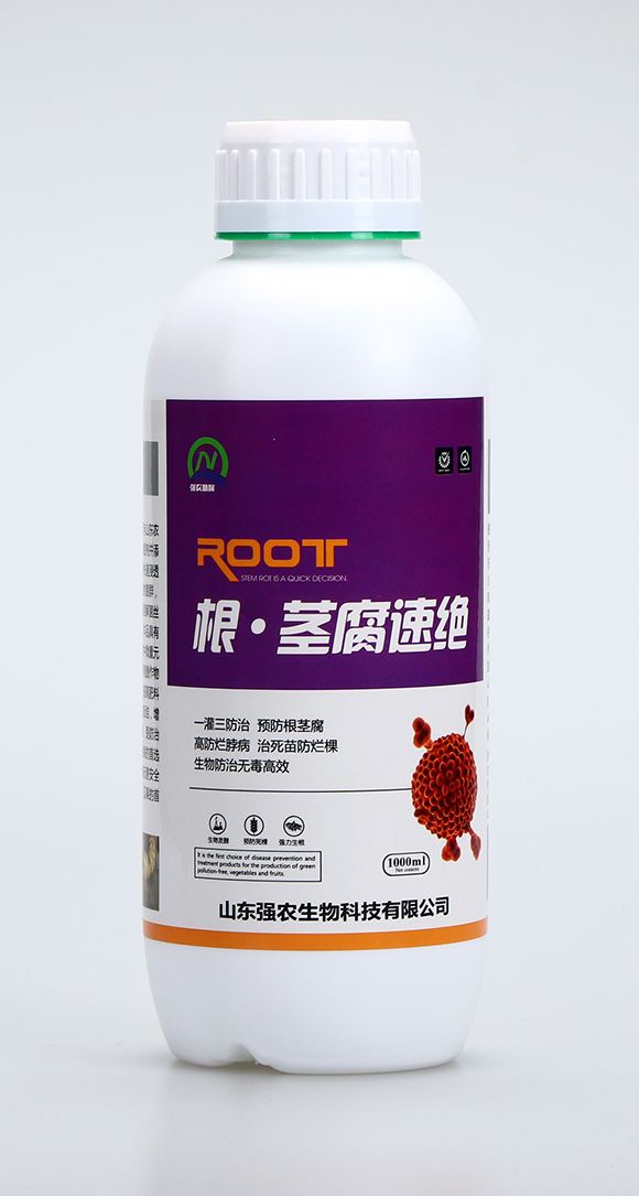 �����o���ٽ^1