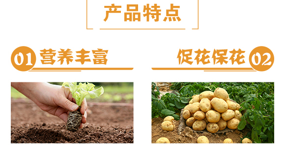 ��������-���R�S_05