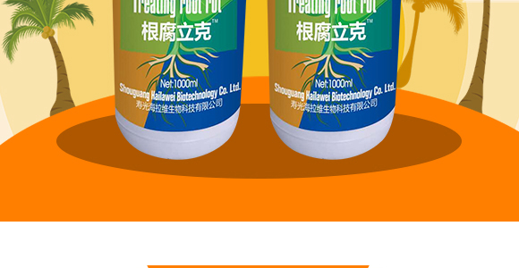 50g��������-��ʩ��_03