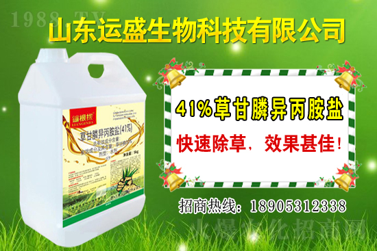 覆盆子生長習性有哪些？覆盆子種植技術！
