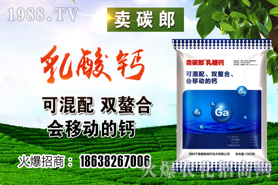 政策阻力較大，小麥價(jià)格整體高位趨穩(wěn)！