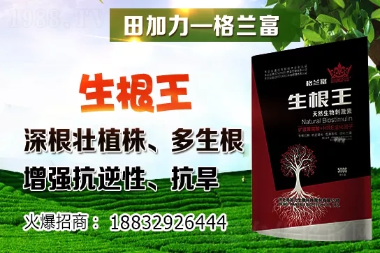 2020-12-24黑龍江各地糧食價(jià)格行情