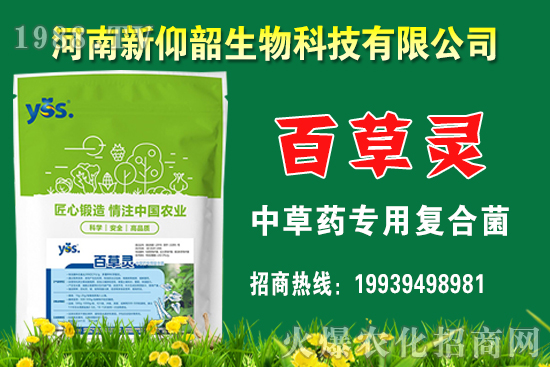 ����С���r��߀���q����2020��12��С���r�����������