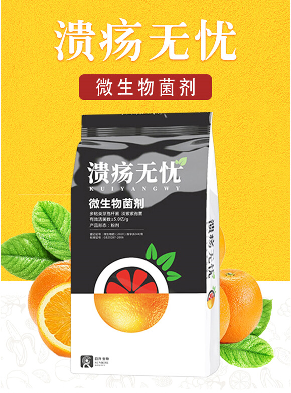 ΢�������-�����o�n-��������_01