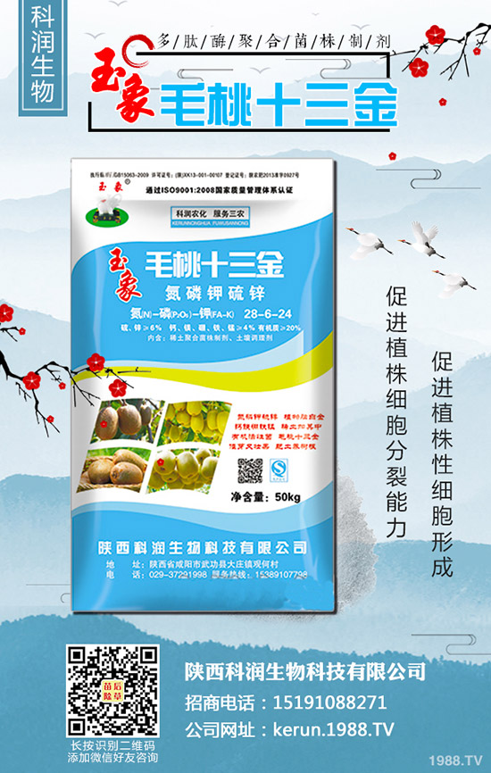     ���裺�����B�m(x��)�q�r�����L(f��ng)�U�����2020-3-13��������r��