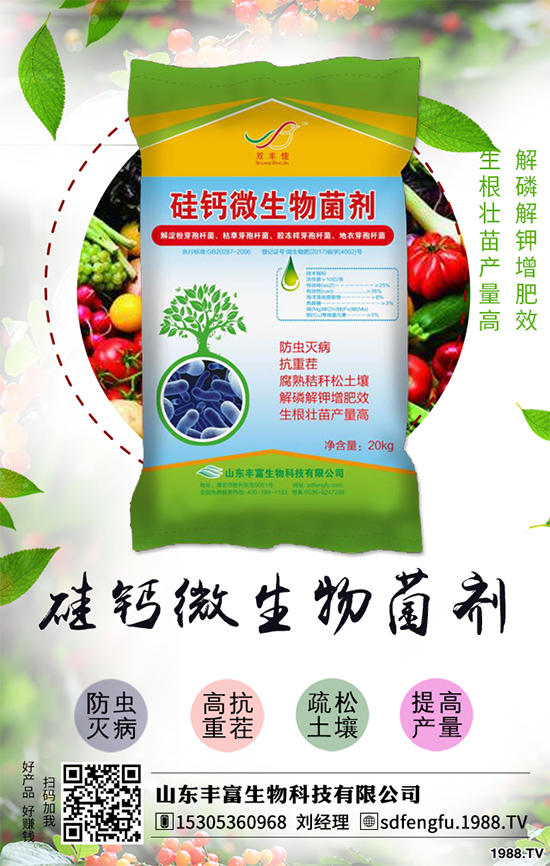 花生如何選種？花生怎么種植能高產(chǎn)？