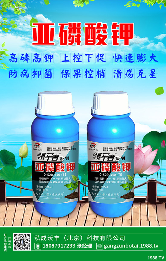 有機蔬菜與無公害蔬菜的區(qū)別，無公害蔬菜如何防蟲？