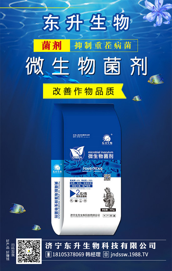 �²�Ʒ�N����Щ���²˵��B(y��ng)ֳע�����(xi��ng)��