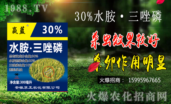 �r(n��ng)���W(w��ng)ϲӭ���������K���r(n��ng)���ɹ����s1988.TV��