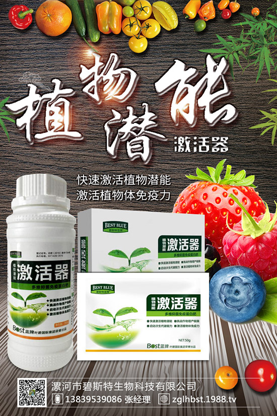 天麻怎么種成活率高？天麻什么時候種植更好？