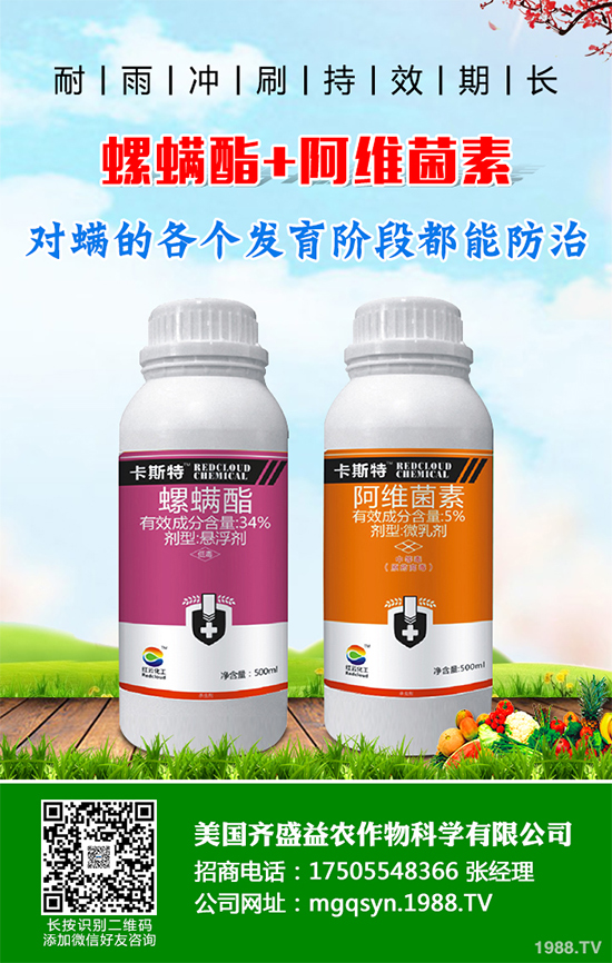�ɘ�(sh��)���x(ch��ng)���r(ji��)��