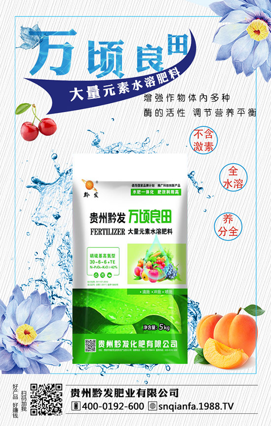 ���m�����缼�g����Щ�����m�������ע�������