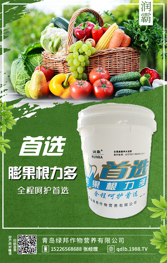 萬年青插桿及播種要點，室內(nèi)萬年青種植注意事項！