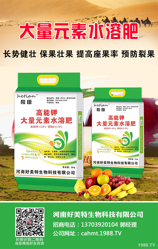 ��(x��)���[��ηNֲ���ܸ߮a(ch��n)����Ҫע��ʲô���@�傀(g��)С���ɷ���һ����