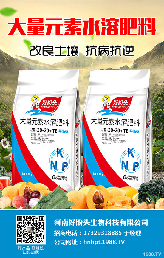 無花果有哪些營養(yǎng)價值？無花果的功效作用及食用禁忌