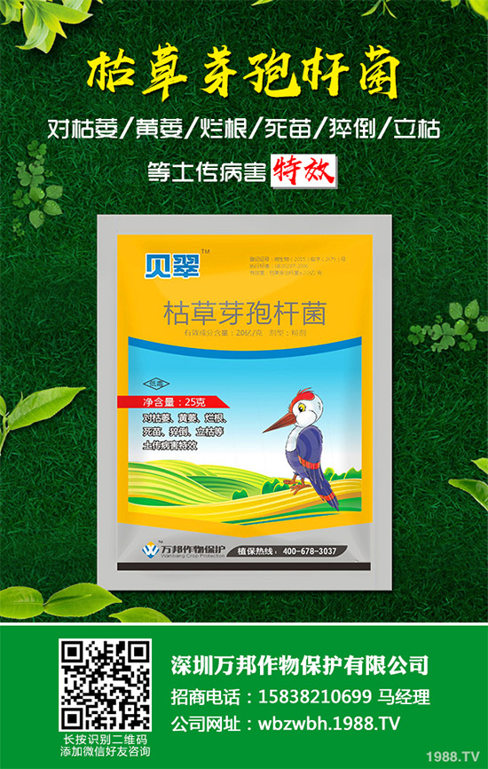 小麥赤霉病藥劑防治效果，有了新變化！