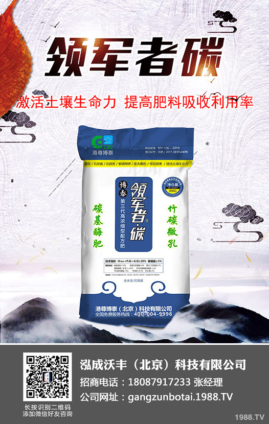 大棚土豆種植更高溫度多少？大棚馬鈴薯如何種植效益高？