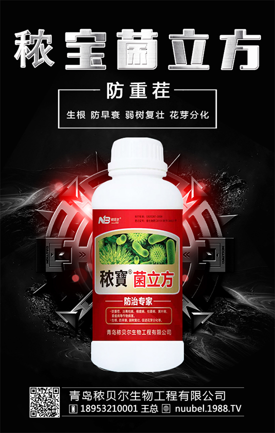 ����ʲô�r����Բ��գ����պ�İ�����ô̎����