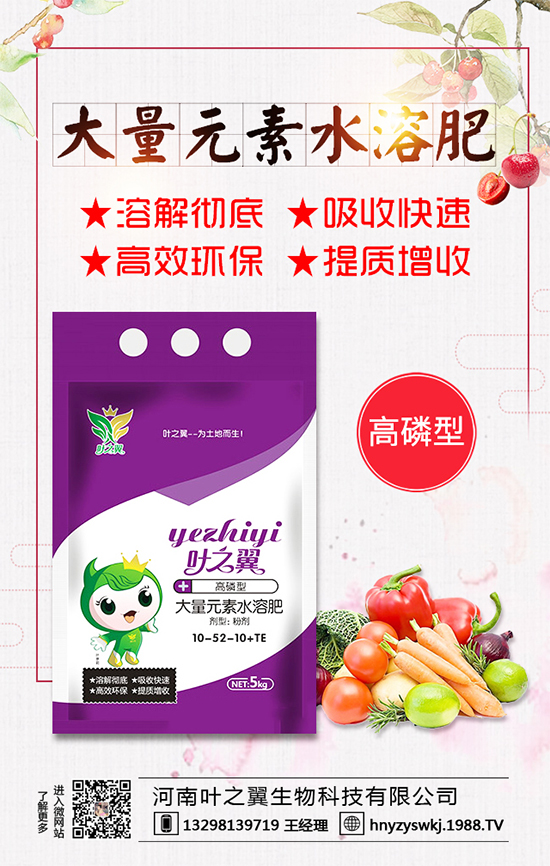 �������L(zh��ng)��(x��)������Щ�����ɵ����g����Ҫ�c(di��n)��