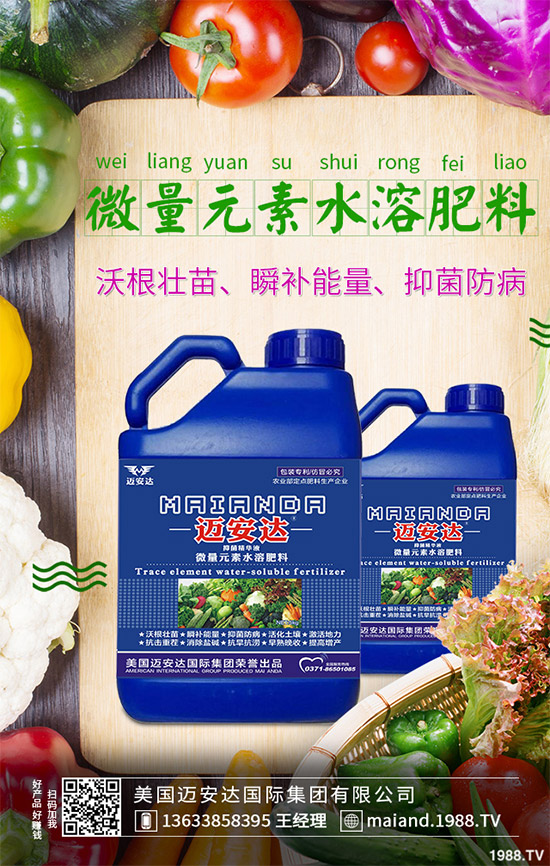 空心菜什么時間種植？空心菜對環(huán)境條件有什么要求？