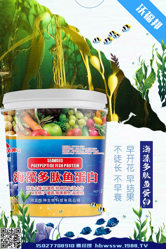     ���ӷNֲ��Ҫע����Щ��(w��n)�}�����ӵ�ˮ�ʹ���Ҫ�c(di��n)��