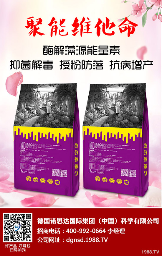 �ܱ��Ϲ���ô�Nֲ���ܱ��Ϲϵ����༼�g(sh��)Ҫ�c(di��n)�c������
