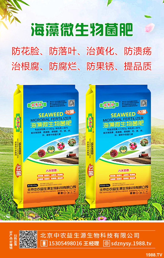 玉木耳栽培注意事項(xiàng)有哪些？玉木耳菌種選購(gòu)注意有哪些？