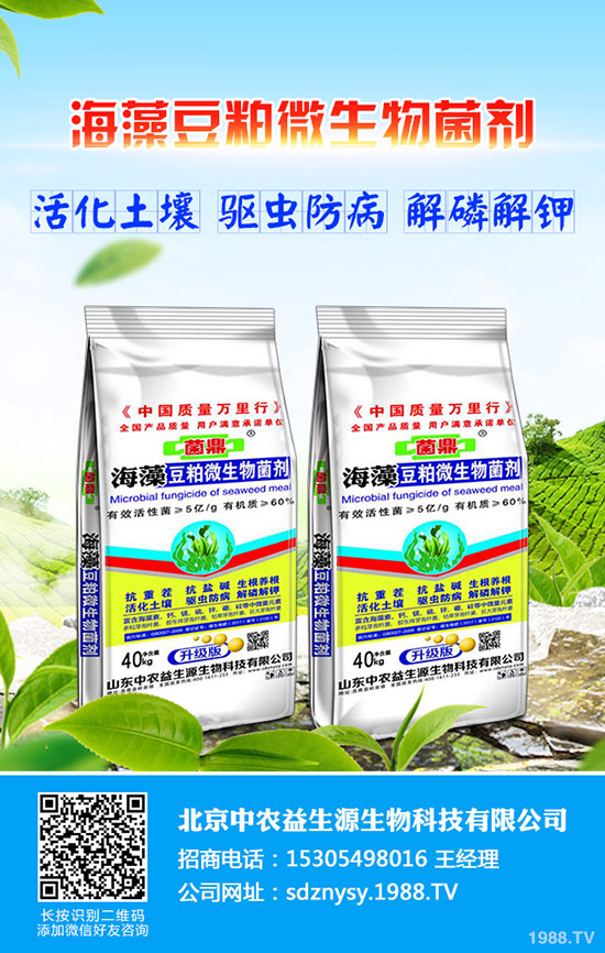     �����ӆ�Β�β������⛷ʃr�������߄ݷ���2020-5-12��