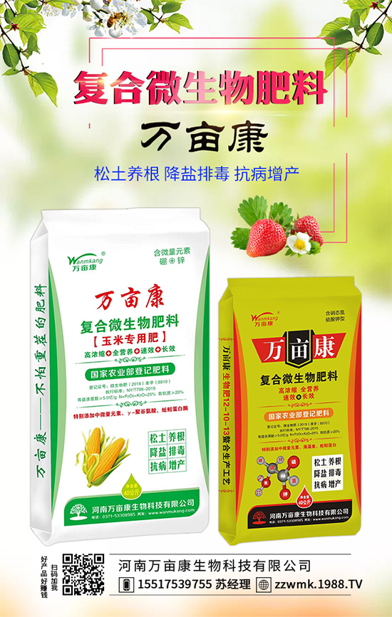 白掌不開花是什么原因？白掌不開花解決措施！