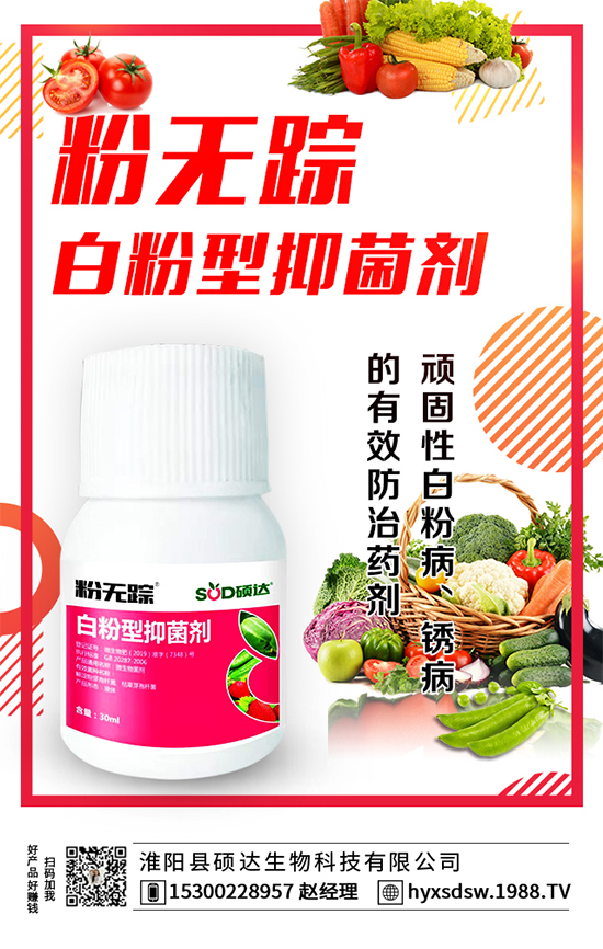 ������ô�Nֲ�������Nֲ���g(sh��)Ҫ�c(di��n)��