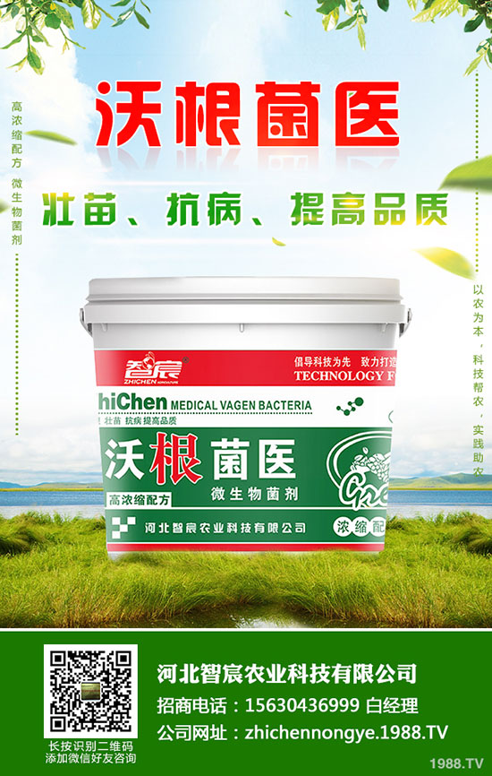 鉀肥價(jià)格整體偏低運(yùn)行！最新鉀肥行情分析2020-5-15！