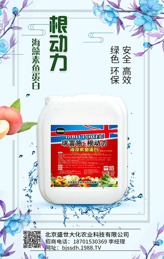 �Ә���ô���綨ֲ��������������M�м޽ӣ�