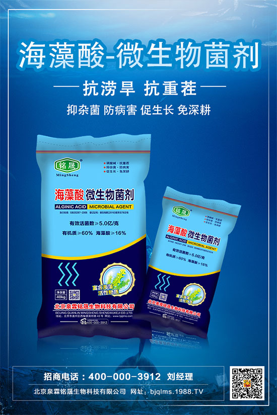 杏樹種植技術(shù)要點,杏樹的栽種注意事項!